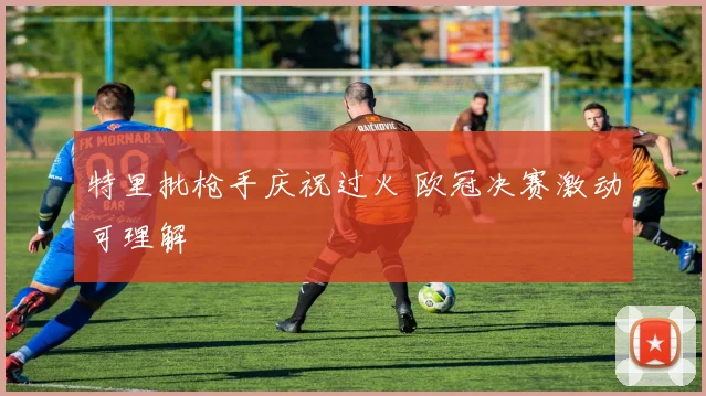 特里批枪手庆祝过火 欧冠决赛激动可理解