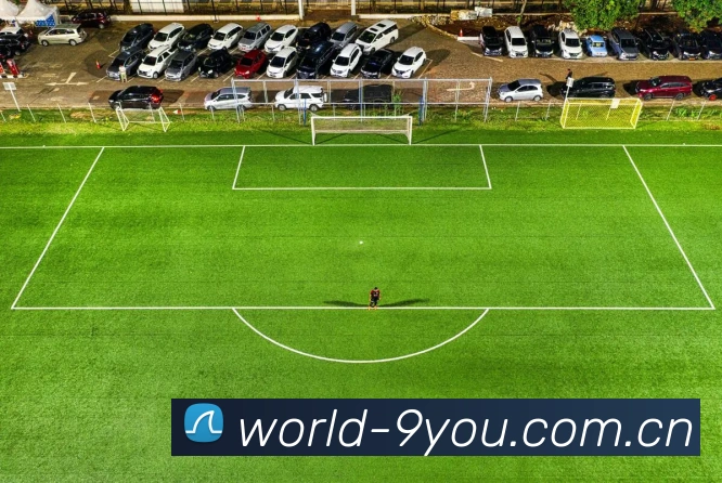 九游体育平台生态图